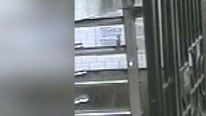 Imagen del presunto incendiario