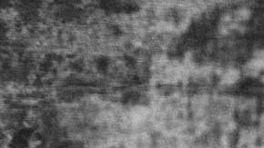 Tu hogar tiene que ser un lugar tranquilo, por lo que procura eliminar todos los ruidos posibles.