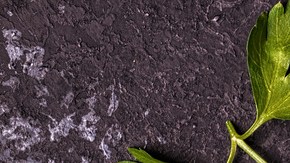 Albóndigas-tatiana-Canva