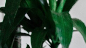 Trabajar en casa puede ser muy cómodo, sólo procura no exagerar por estas razones.