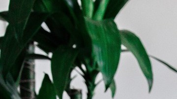 Trabajar en casa puede ser muy cómodo, sólo procura no exagerar por estas razones.