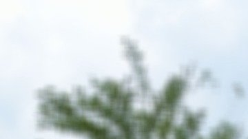 Evitar el contacto físico es uno de las razones que afectan la venta de casas.