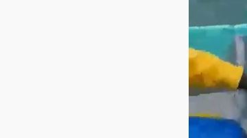 El animal quedó atrapado en una red que se usa para pescar pez Totaba.