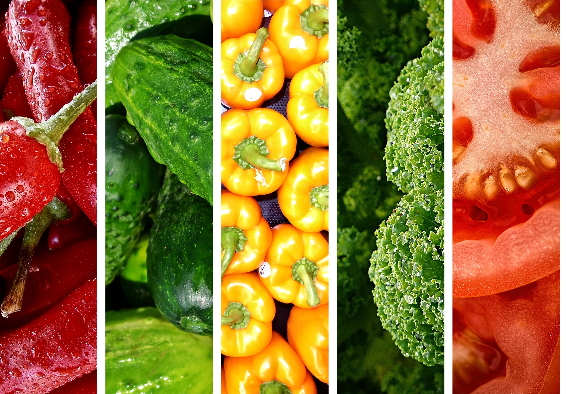 cuales son los vegetales sin carbohidratos cuales son los vegetales sin carbohidratos