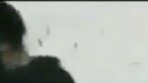 VIDEO: "Rata que agarremos, la matamos" narcos interrogan y matan a balazos a 2 jóvenes