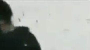 VIDEO: "Rata que agarremos, la matamos" narcos interrogan y matan a balazos a 2 jóvenes