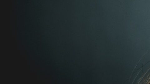 Toma nota de estos consejos para que mantengas la calma durante la pandemia.
