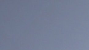 Aprovecha el poder de las flores amarillas.