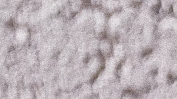 Sus creadores la lanzaron con el fin de concientizar a la población.