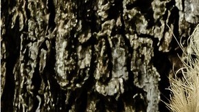 Muñecos de vudú tallados en madera.