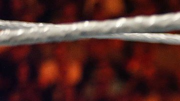 El fin es hacer más ameno el confinamiento obligatorio.