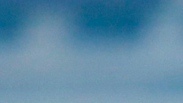 El presidente minimizó al principio la crisis que se aproximaba.