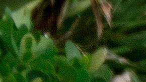 La gente visita el South Pointe Park después de la reapertura de los parques en Miami Beach, Florida.