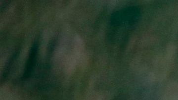 Kim no acudió a la tradicional celebración del aniversario del nacimiento de su abuelo.