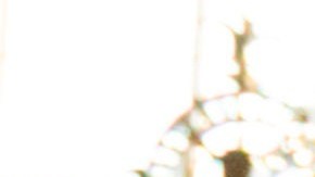 Bárbara Carrasco, artista.