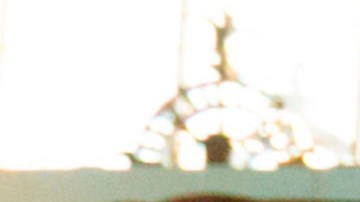 Bárbara Carrasco, artista.