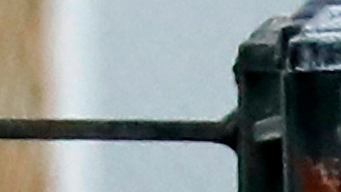 La recomendación buscaría evitar la propagación de COVID-19.