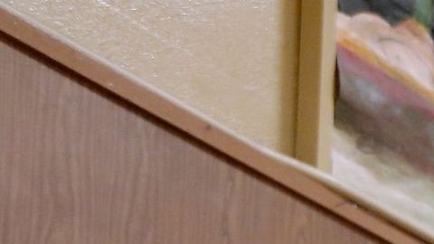Las elecciones de noviembre llevaron a millones a las urnas.
