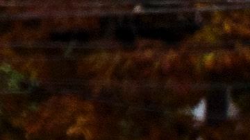 Autoridades investigan el tiroteo ocurrido en una escuela en Townville, Carolina del Sur.