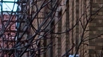 Coronavirus Nueva York