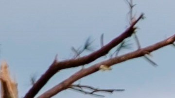 Tornados mataron la semana pasada a unas 34 personas en el sur del país.