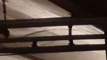 El servicio sevio alterado