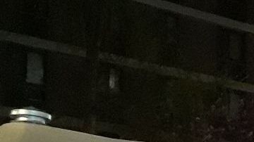 La decisión final queda a criterio del médico