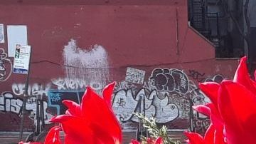 Las cifras ceden, aunque siguen muy altas