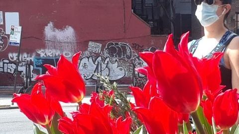 Las cifras ceden, aunque siguen muy altas