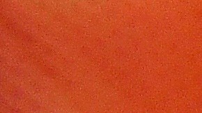 Hay supuestos tests anticuerpos que no se han validado.