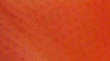 Hay supuestos tests anticuerpos que no se han validado.