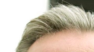 Tom Hagen fue arrestado por la muerte de su esposa.