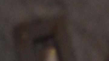 Nadie está inmune al virus ni a sus consecuencias