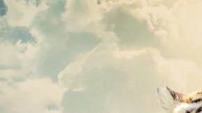 King Tiger se ha convertido en un éxito de Netflix.