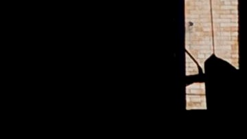 Dos estudios con genomas del coronavirus llegaron a la misma conclusión.