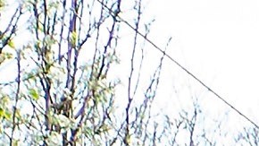 El paquete ampliaría el programa de préstamos a pequeñas empresas.