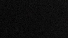 La pareja fue diagnosticada hace semanas con una neumonía leve.