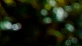 En varias ciudades de Estados Unidos ha habido protestas pidiendo la reapertura económica.