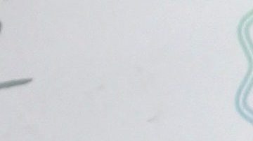 Elizabeth Gutiérrez