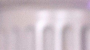 Algunos estados denuncian que no hay pruebas suficientes para abrir el país.