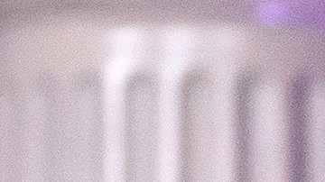 Algunos estados denuncian que no hay pruebas suficientes para abrir el país.