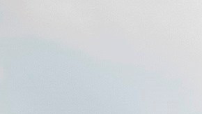 Annapolis (United States), 18/04/2020.- A counter protestor gestures to the vehicles of supporters of the group 'Reopen Maryland' as they fill Church Circle to protest the state's on-going stay-at-home order due to the coronavirus COVID-19 pandemic in Annapolis, Maryland, USA, 18 April 2020. In response to state shutdowns over the virus, the US President stated he would authorize governors to reopen their states on their own timelines. (Protestas, Abierto, Estados Unidos) EFE/EPA/JIM LO SCALZO