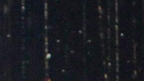 Angelique Boyer y Sebastián Rulli