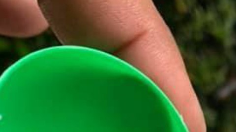 Los residentes de Flager se sorprendieron al ver huevos de Pascua rellenos con pornografía en sus buzones de correo.