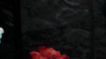 Silvia Pinal sufrió una dolorosa caída al interior de su casa.