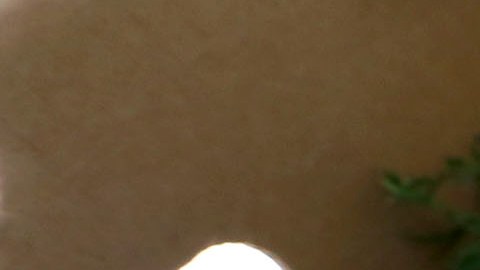 CalFresh es un programa social que garantiza que sus beneficiarios tengan acceso a comida nutritiva. (Cortesía/Aurelia Ventura)