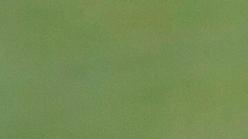 El titular de la FIFA hizo un llamado para anteponer la salud sobre el deporte.