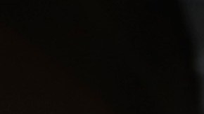 Ariana Grande tiene una manada perruna de 13 rescatados.