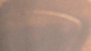 Arnold Schwarzenegger disfruta el confinamiento por el COVID-19 con su mascotas: un perro, un burro y un pony.