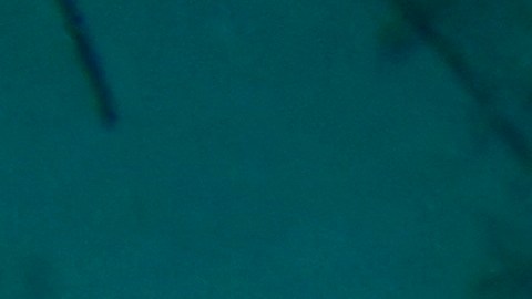 Los arrecifes en el sur de la 'Isla del Encanto' también se han visto afectados por la pandemia.